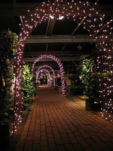 Sangeet & Reception · Entry Gates photo 6